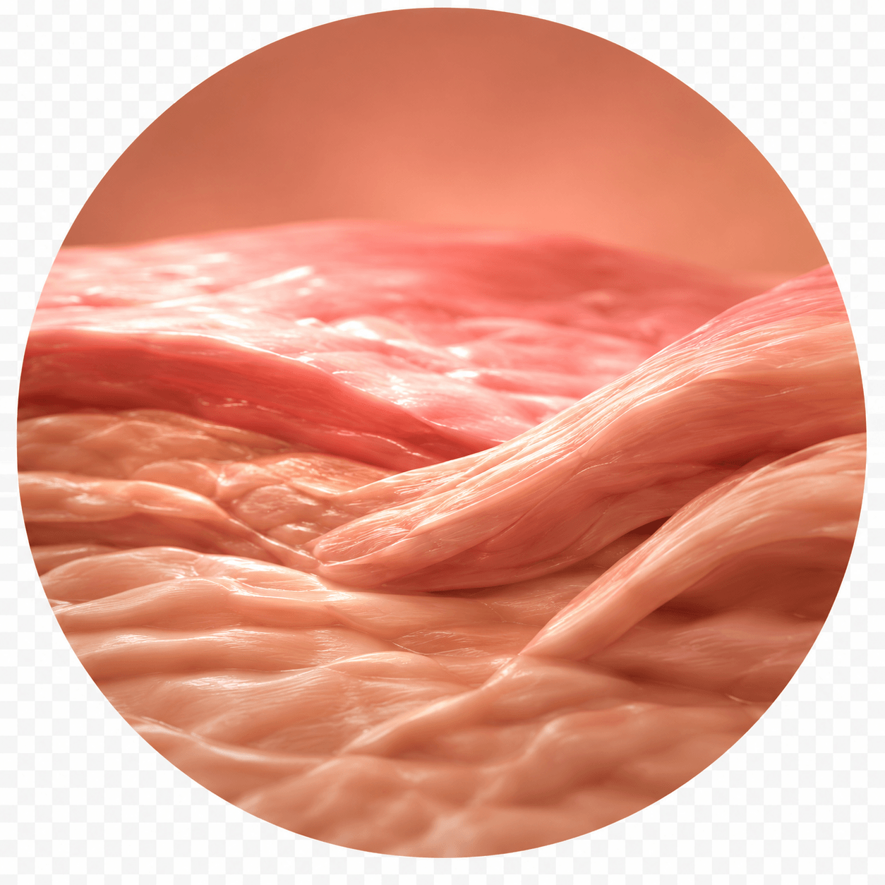 Microscopic view of scar tissue remodeling after microneedling